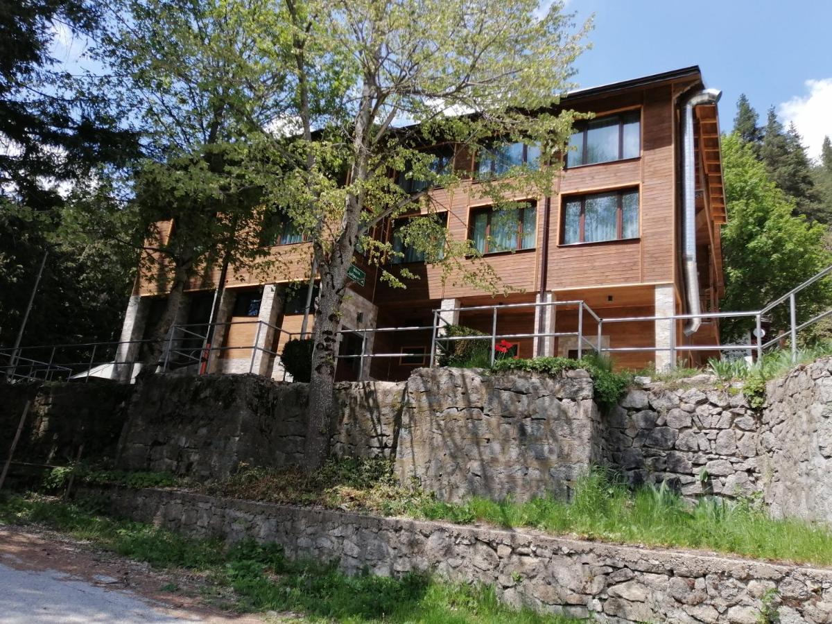 Вила Добро Поле Blagoevgrad Exteriér fotografie